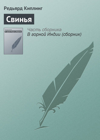 Обложка книги «Свинья»