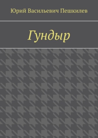 Обложка книги «Гундыр»