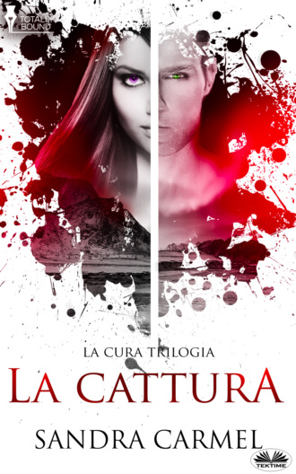 Обложка книги «La Cattura»
