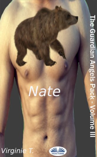Обложка книги «Nate»