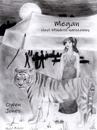 Обложка книги «Megan Slaví Třinácté Narozeniny»