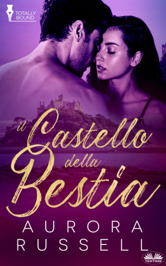 Обложка книги «Il Castello Della Bestia»