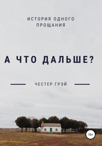 Обложка книги «А что дальше?»