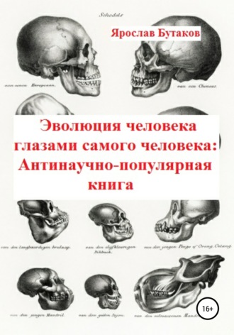 Обложка книги «Эволюция человека глазами самого человека: Антинаучно-популярная книга»