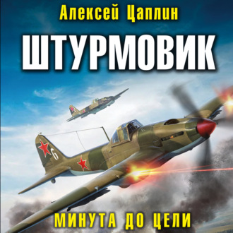 Обложка книги «Штурмовик. Минута до цели»