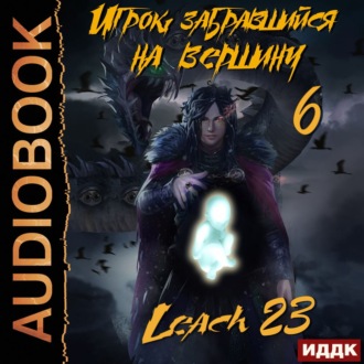 Обложка книги «Игрок, забравшийся на вершину. Книга 6»