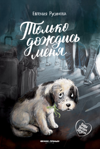 Обложка книги «Только дождись меня»