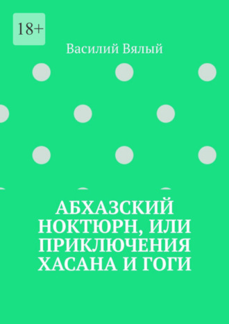 Василий Вялый. Абхазский ноктюрн, или Приключения Хасана и Гоги