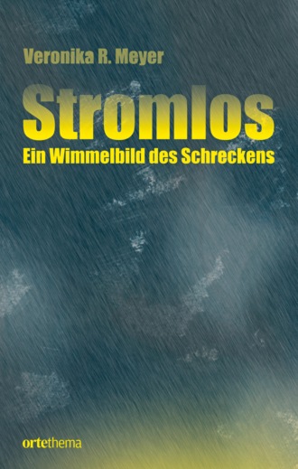 Veronika R. Meyer. Stromlos