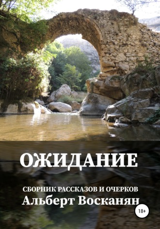Обложка книги «Ожидание»