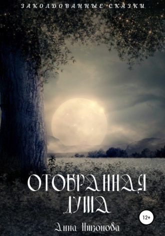 Обложка книги «Отобранная душа»