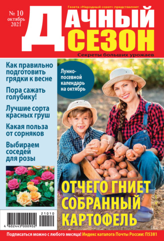 Обложка книги «Дачный сезон №10/2021»