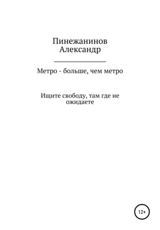 Александр Валерьевич Пинежанинов. Метро – больше, чем метро