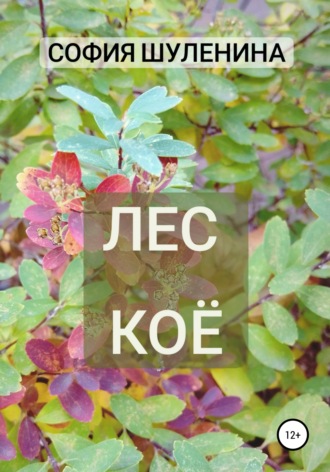 Обложка книги «Лес Коё»