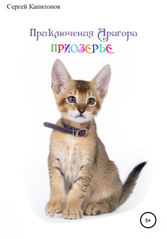 Обложка книги «Приключения Арагора. Приозерье.»
