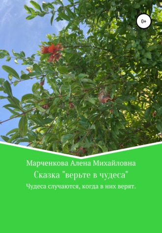 Обложка книги «Сказка «Верьте в чудеса»»
