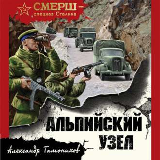 Обложка книги «Альпийский узел»