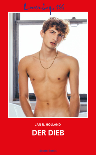 Jan R. Holland. Loverboys 166: Der Dieb