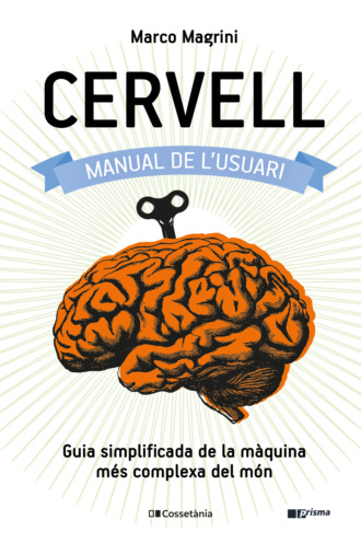 Marco Magrini. Cervell: manual de l'usuari