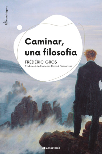 Fr?d?ric Gros. Caminar, una filosofia