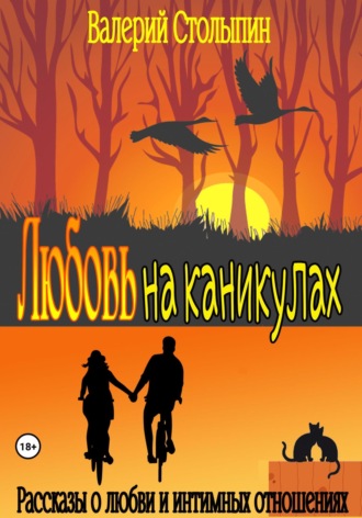 Обложка книги «Любовь на каникулах»