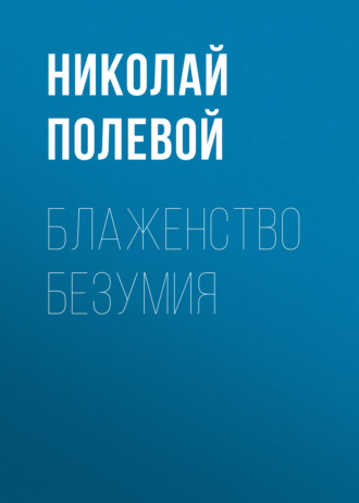 Обложка книги «Блаженство безумия»