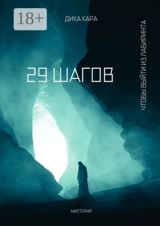 Обложка книги «29 шагов. Чтобы выйти из Лабиринта»