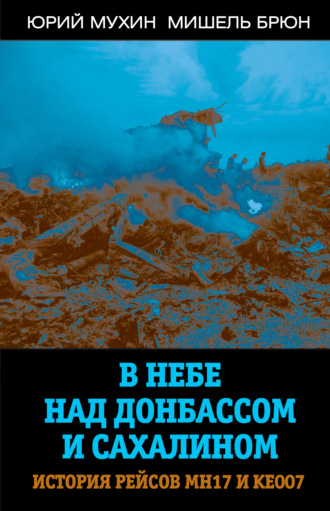 Обложка книги «В небе над Донбассом и Сахалином. История рейсов МН17 и КЕ007»