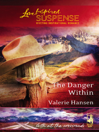 Valerie  Hansen. The Danger Within