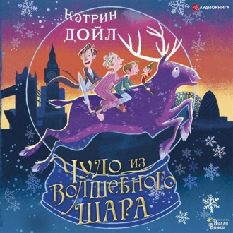 Обложка книги «Чудо из волшебного шара»