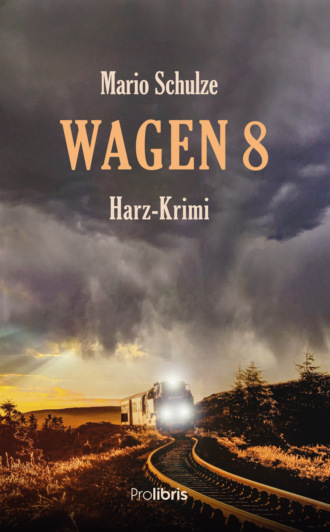 Mario Schulze. Wagen 8