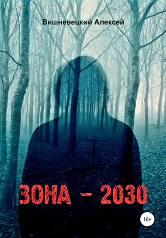 Обложка книги «Зона 2030»