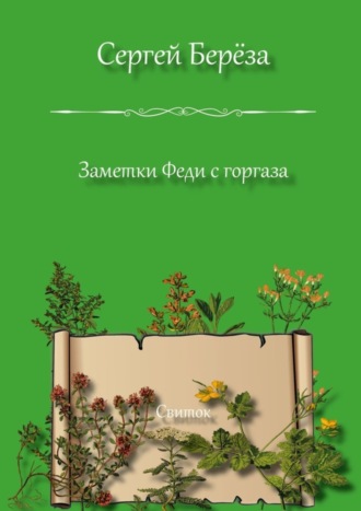 Обложка книги «Заметки Феди с горгаза. Свиток»