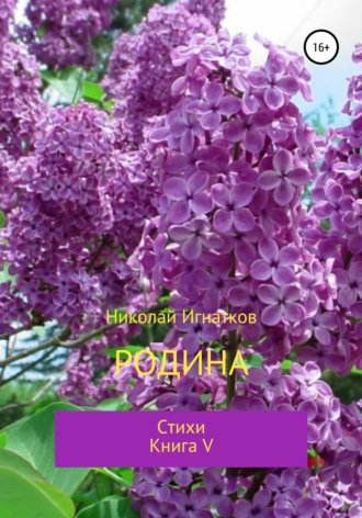 Обложка книги «Родина. Книга V»