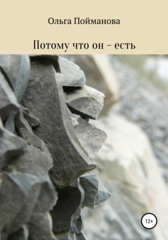 Обложка книги «Потому что он – есть»
