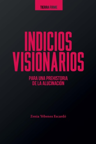 Zenia Y?benes Escard?. Indicios visionarios para una prehistoria de la alucinaci?n