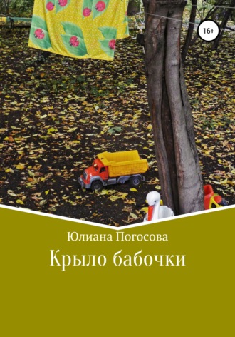 Обложка книги «Крыло бабочки»