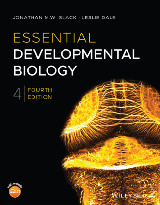 Jonathan M. W. Slack. Essential Developmental Biology