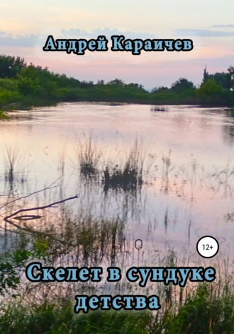 Обложка книги «Скелет в сундуке детства»