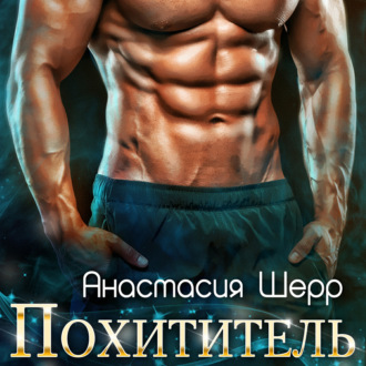 Обложка книги «Похититель»