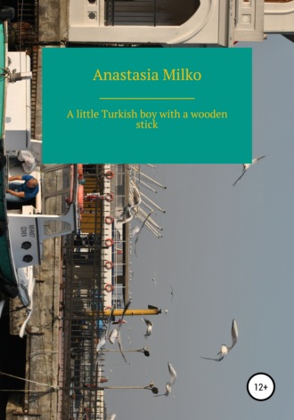 Обложка книги «A little Turkish boy with a wooden stick»