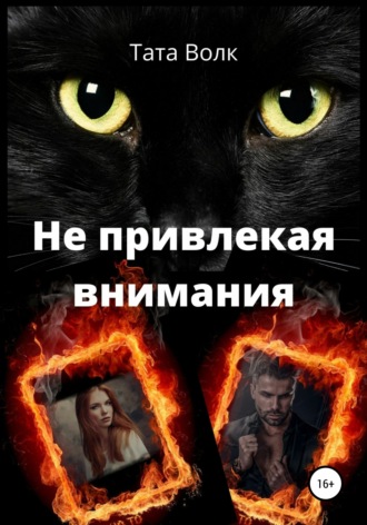 Обложка книги «Не привлекая внимания»