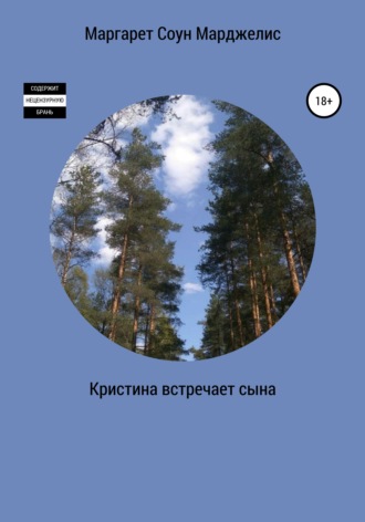 Обложка книги «Кристина встречает сына»