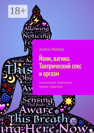 Обложка книги «Йони, вагина. Тантрический секс и оргазм. Сексуальная медитация, теория, практика»