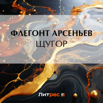 Обложка книги «Щугор»
