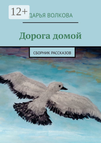 Обложка книги «Дорога домой. Сборник рассказов»