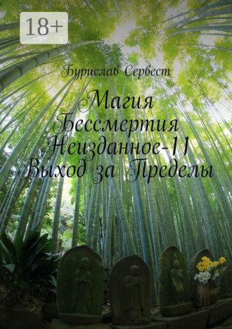 Обложка книги «Магия бессмертия. Неизданное-11. Выход за пределы»