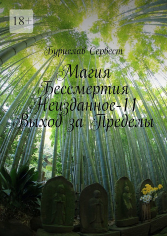 Бурислав Сервест. Магия бессмертия. Неизданное-11. Выход за пределы