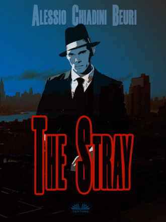 Обложка книги «The Stray»