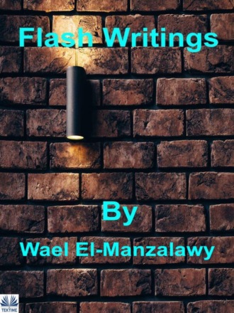 Обложка книги «Flash Writings»